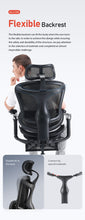 Load image into Gallery viewer, *FREE DESK MAT* Sihoo Doro C300 Ergonomic Chair
