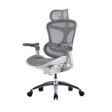 Load image into Gallery viewer, Sihoo Doro C300 Light Grey Ergonomic Chair (5 Years Limited Warranty)
