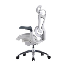 Load image into Gallery viewer, Sihoo Doro C300 Light Grey Ergonomic Chair (5 Years Limited Warranty)
