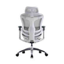 Load image into Gallery viewer, Sihoo Doro C300 Light Grey Ergonomic Chair (5 Years Limited Warranty)
