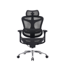 Load image into Gallery viewer, Black office chair with mesh design on a white background, featuring the SIHOO brand.
