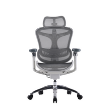 Load image into Gallery viewer, Sihoo Doro C300 Light Grey Ergonomic Chair (5 Years Limited Warranty)
