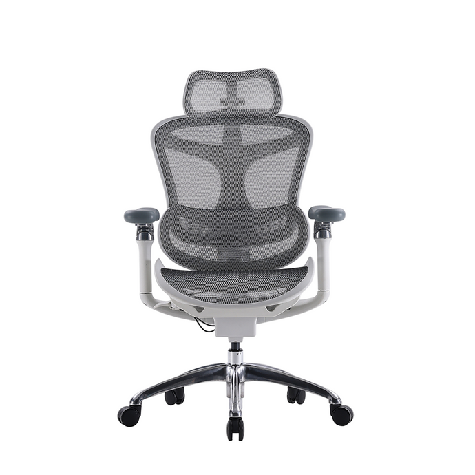 Sihoo Doro C300 Light Grey Ergonomic Chair (5 Years Limited Warranty)