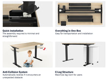 Load image into Gallery viewer, Flexispot Flexi Deluxe Ergonomic Adjustable Standing Desk With Memory Presets
