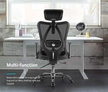 Load image into Gallery viewer, *FREE DESK MAT* Sihoo M16 Ergonomic Office Chair without Headrest
