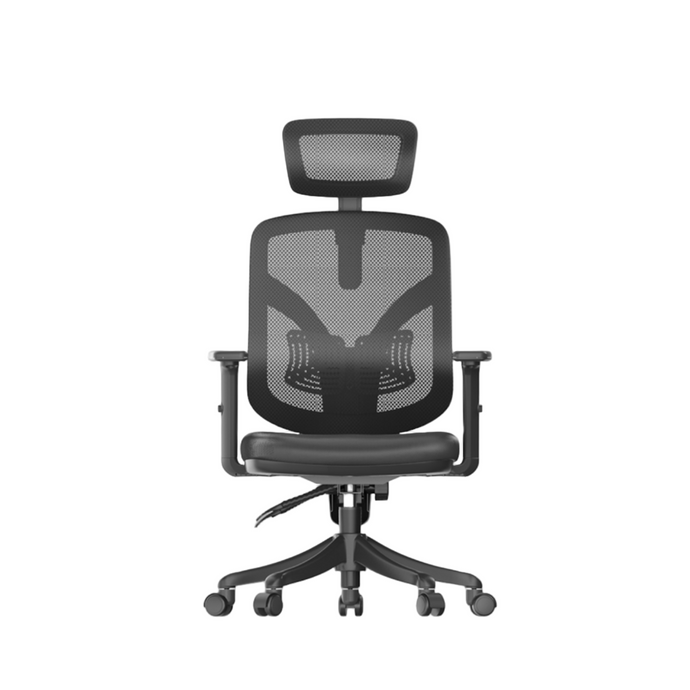 Sihoo M56 Ergonomic Office Chair (1 Year Limited Warranty)
