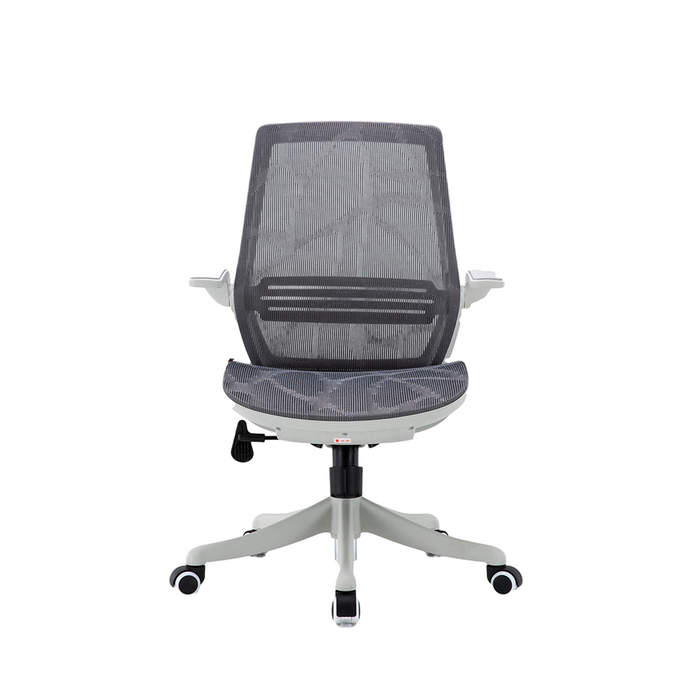 An ergonomic office chair with a grey mesh backrest and seat, featuring armrests and a five-star base with casters.
