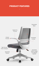 Load image into Gallery viewer, *FREE DESK MAT* Sihoo M76 Ergonomic Chair Grey Colour
