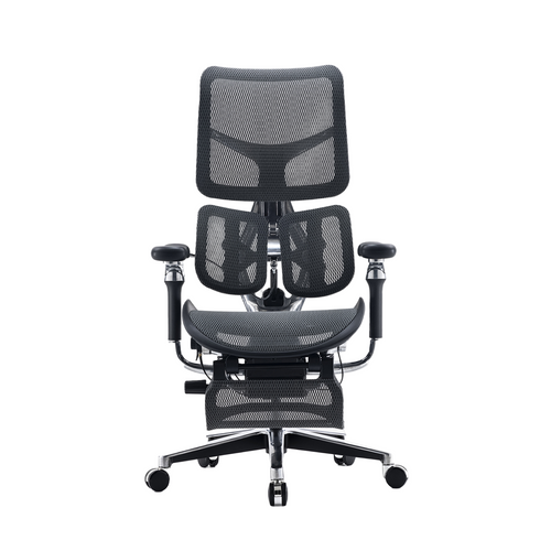 A full mesh ergonomic office chair with black frame and armrests, on a five-star base with casters.