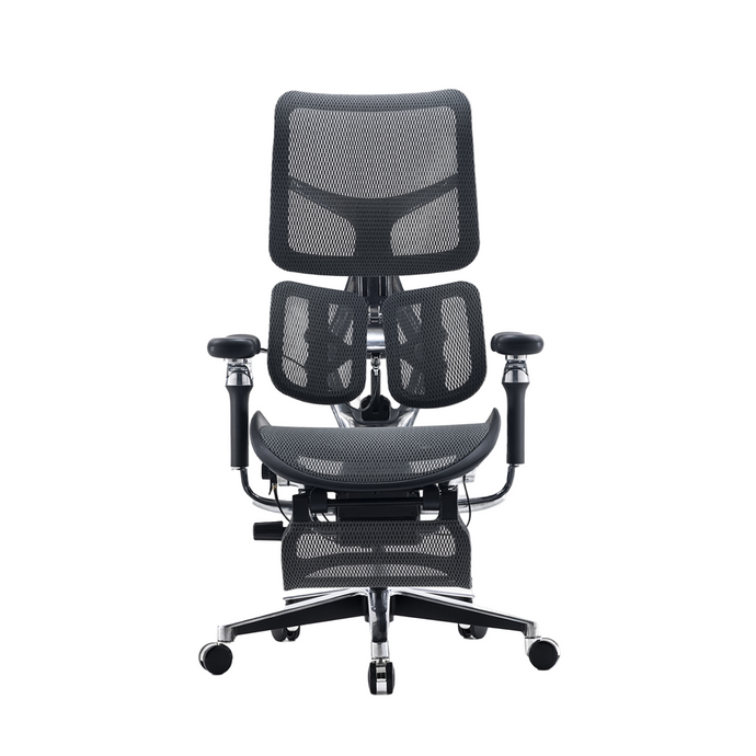 A full mesh ergonomic office chair with black frame and armrests, on a five-star base with casters.